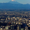 東京スカイツリーからの富士山