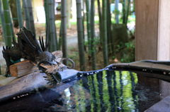 竹林の水辺に潜む龍