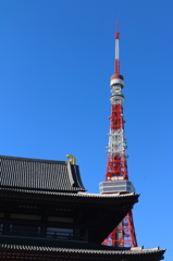 増上寺からの東京タワー