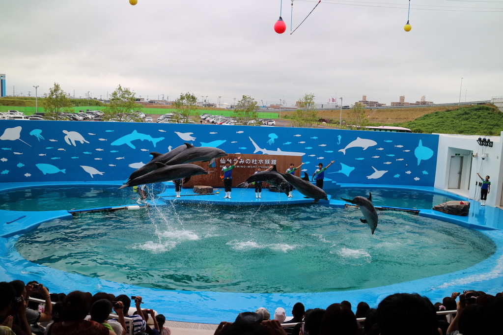 仙台うみの杜水族館