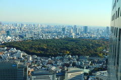 (旅の思い出) 都庁南側展望台より