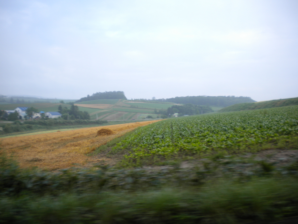 北海道 美瑛