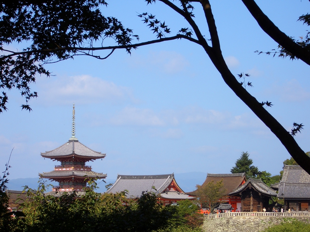 おふくろ　京都へ