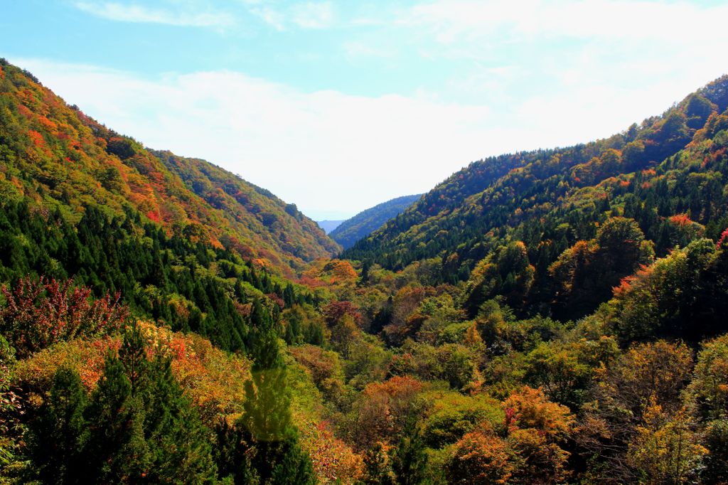 南昌山 紅葉が来る～♪