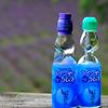 炭酸飲料