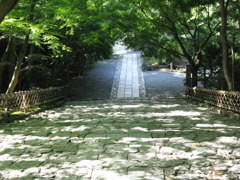 階段をおりて
