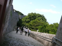 修学旅行