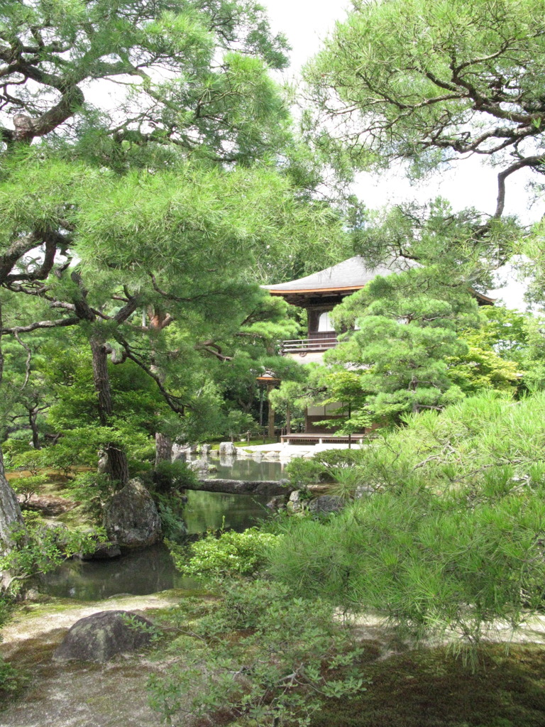 木々の中に