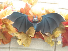 こうもり