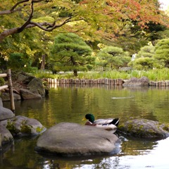 日本庭園