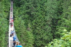 Capilano Suspension Bridge