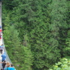 Capilano Suspension Bridge