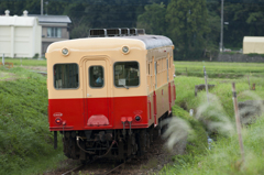 新型車両？【小湊鉄道】