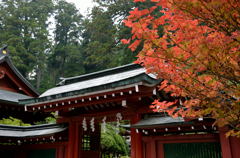 日光 二荒山神社の紅葉2 日光 二荒山神社の紅葉2