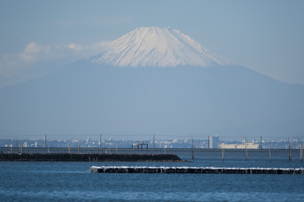 東京湾を望んで