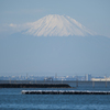 東京湾を望んで