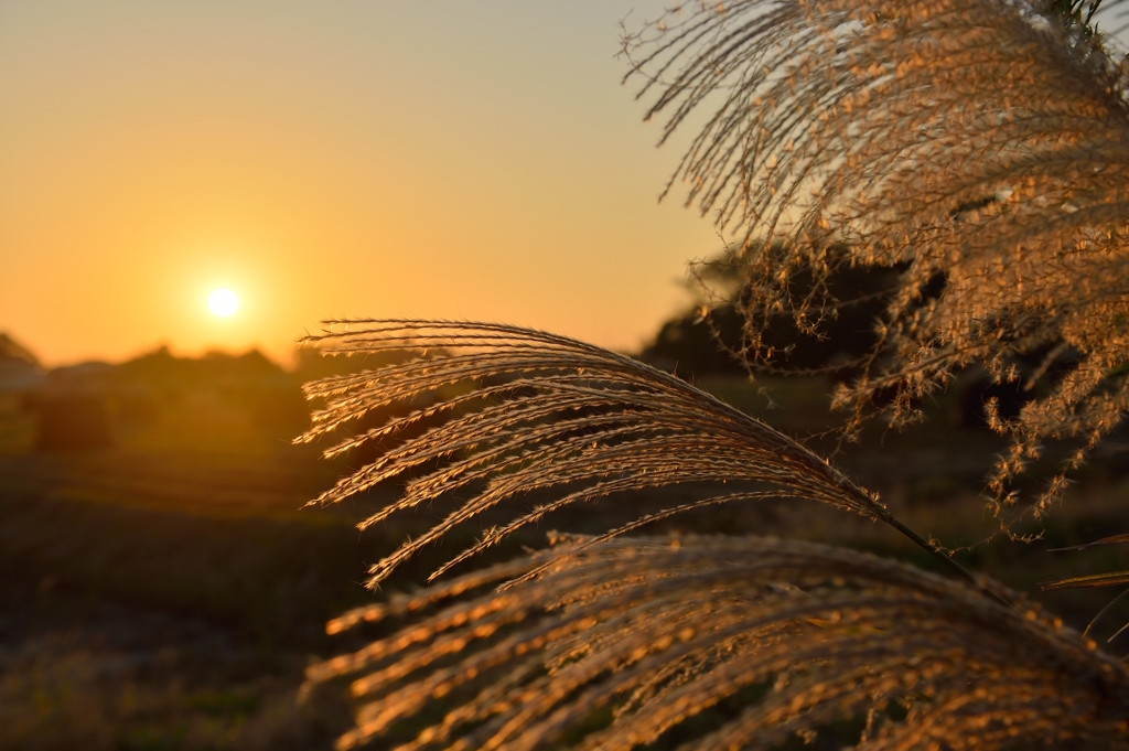 秋の夕景