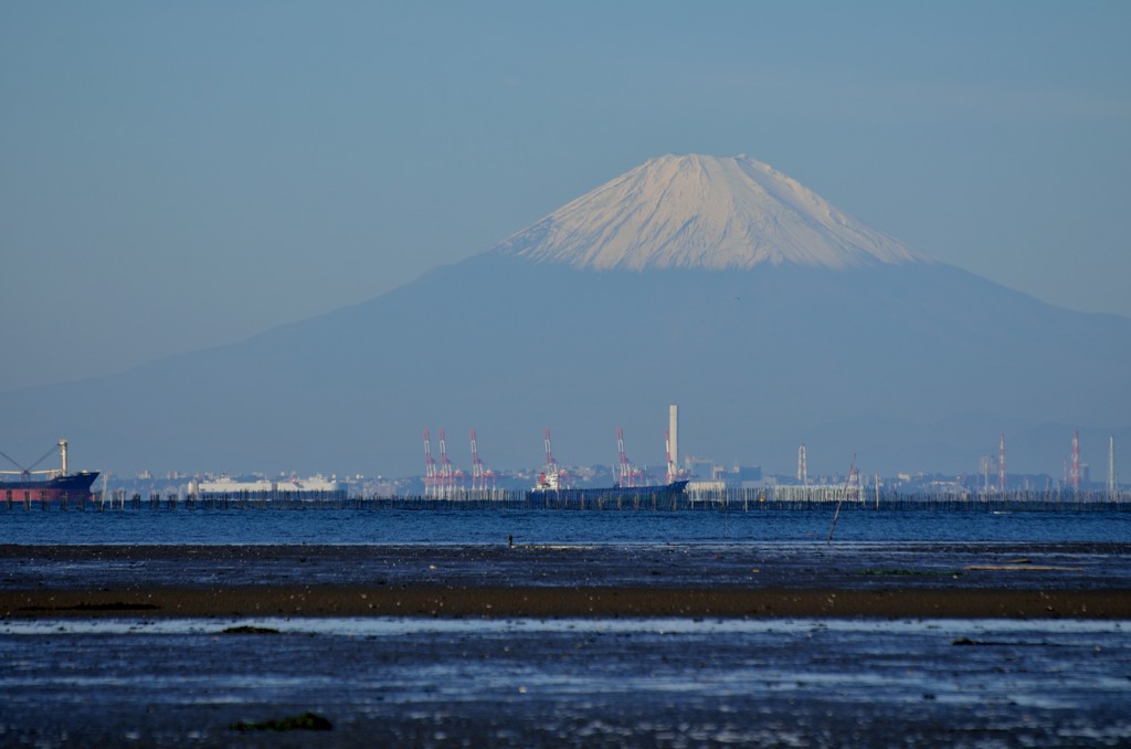干潟からの富士