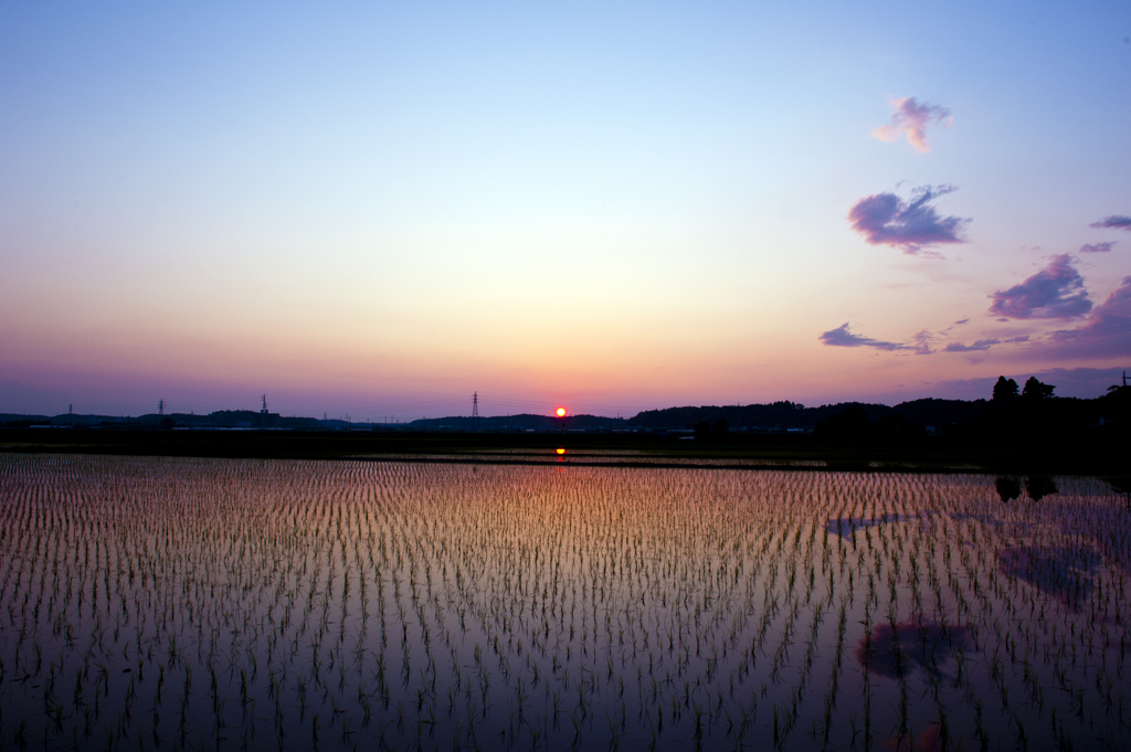 5月　田園に沈む夕日