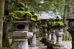 日光東照宮 苔むす灯籠 日光東照宮 苔むす灯籠
