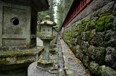 日光東照宮 苔むす灯籠並木 日光東照宮 苔むす灯籠並木