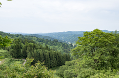 夏鳥の住む杜【峠】