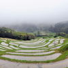 雨天の棚田