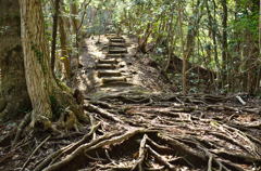 房総の尾根道