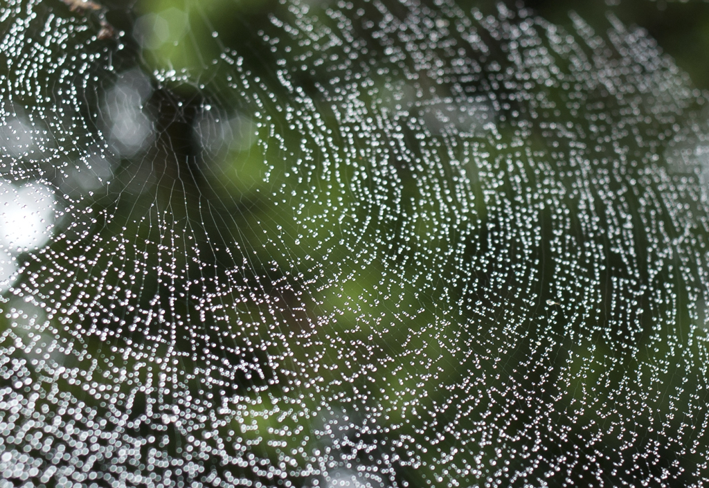 雨上がり