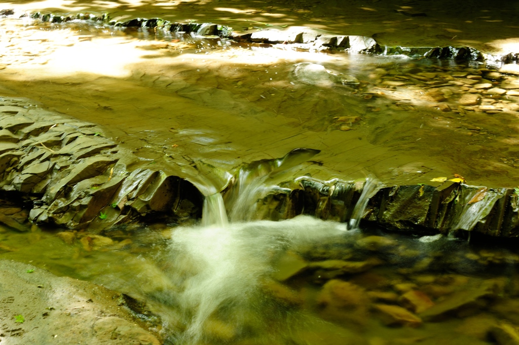 6月　初夏の清流