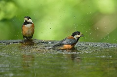 気持ちいぃ～♪