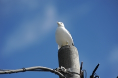 さ～て、どうしようかな