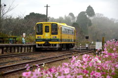 通学列車【いすみ鉄道】