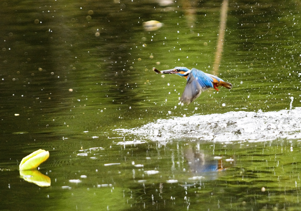 水飛沫～♪