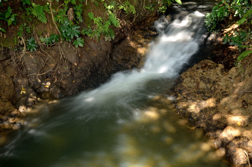源流【雄蛇ヶ池】