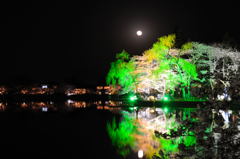 夜桜月夜【桜祭り】