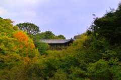 京都の東福寺