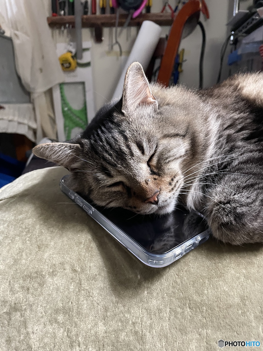 それ僕のスマホ、、、