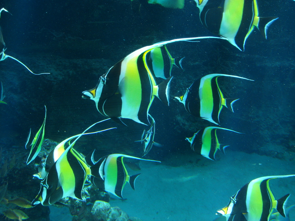 水族館