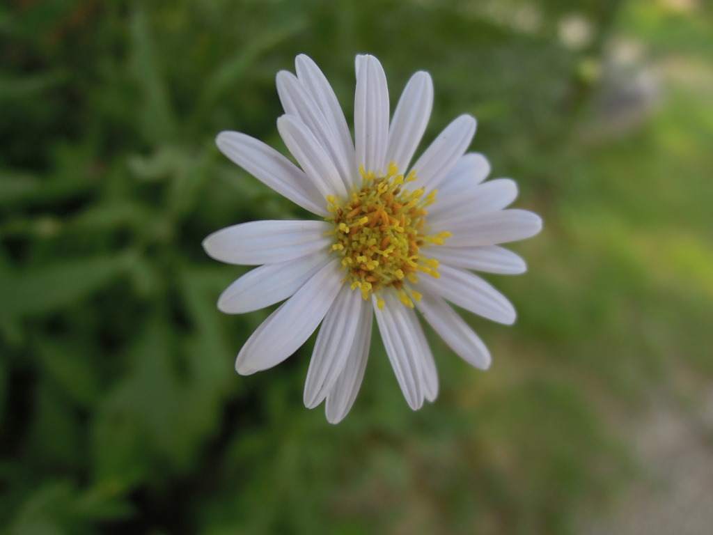 DSCN0422