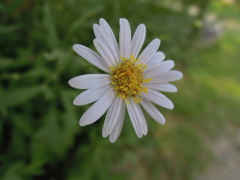 DSCN0422