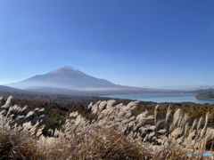 山中湖パノラマ台からの見る富士山