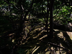 おわかりいただけただろうか
