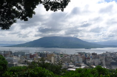 桜島を高台から