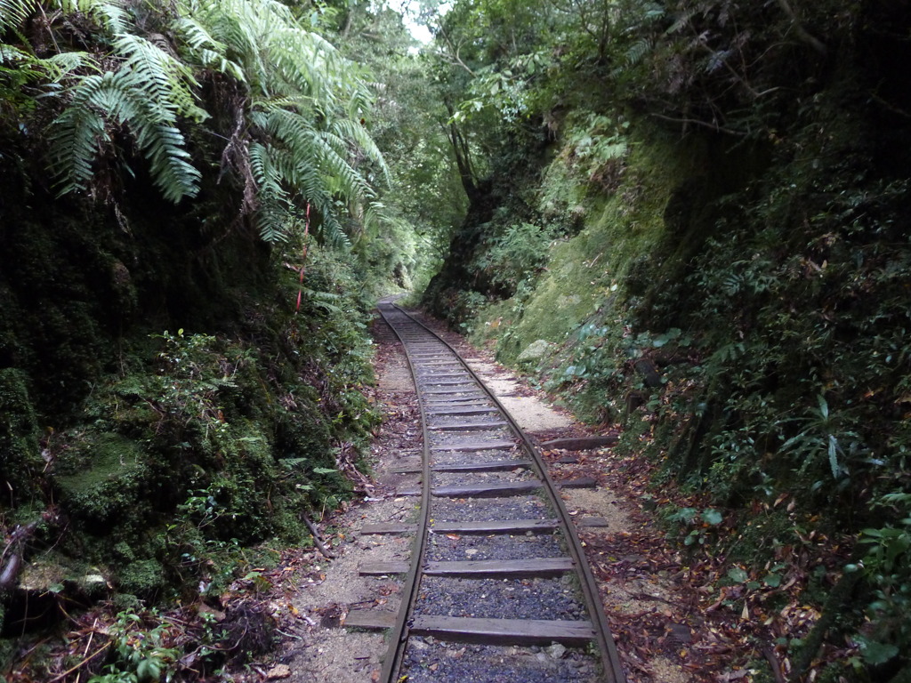 屋久島