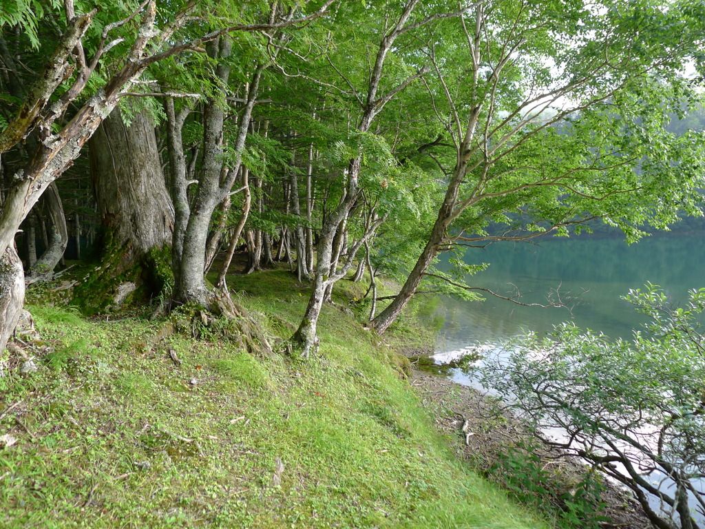 菅沼キャンプ場
