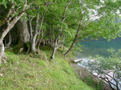 菅沼キャンプ場