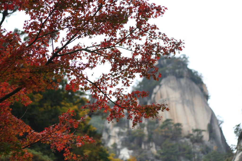 覚円峰　秋