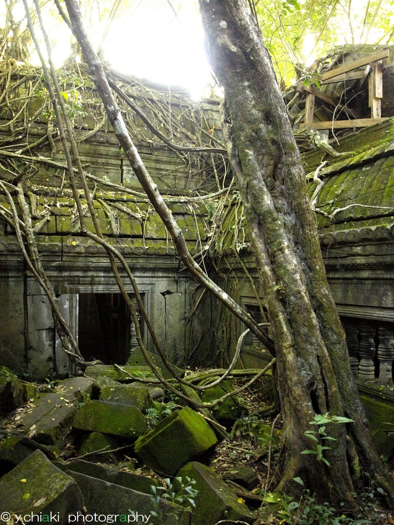 ベンメリア遺跡2
