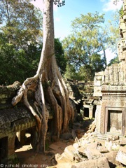 Ta Prohm